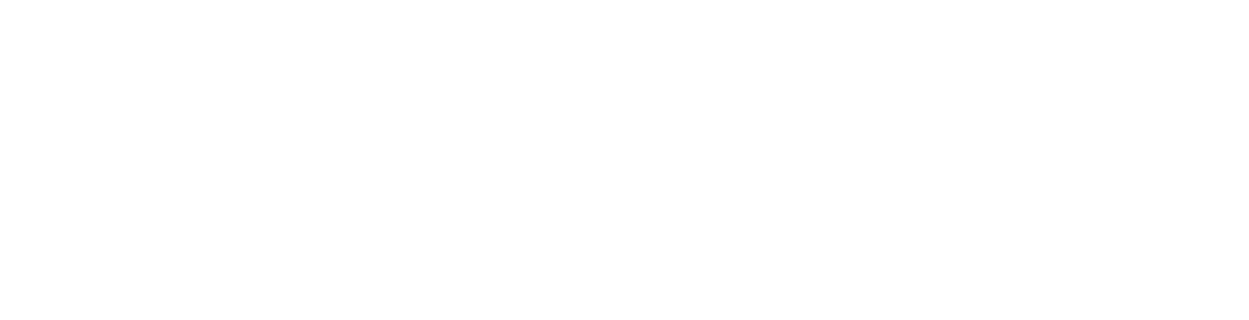 Logo_White 02